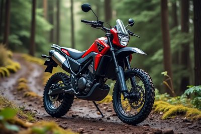 découvrez la honda vftr, une moto innovante qui allie parfaitement l'esprit d'enduro à celui du tracker. avec son design robuste et ses performances polyvalentes, la vftr est idéale pour ceux qui recherchent l'aventure sur tous types de terrains. plongez dans l'univers de cette machine hors du commun!